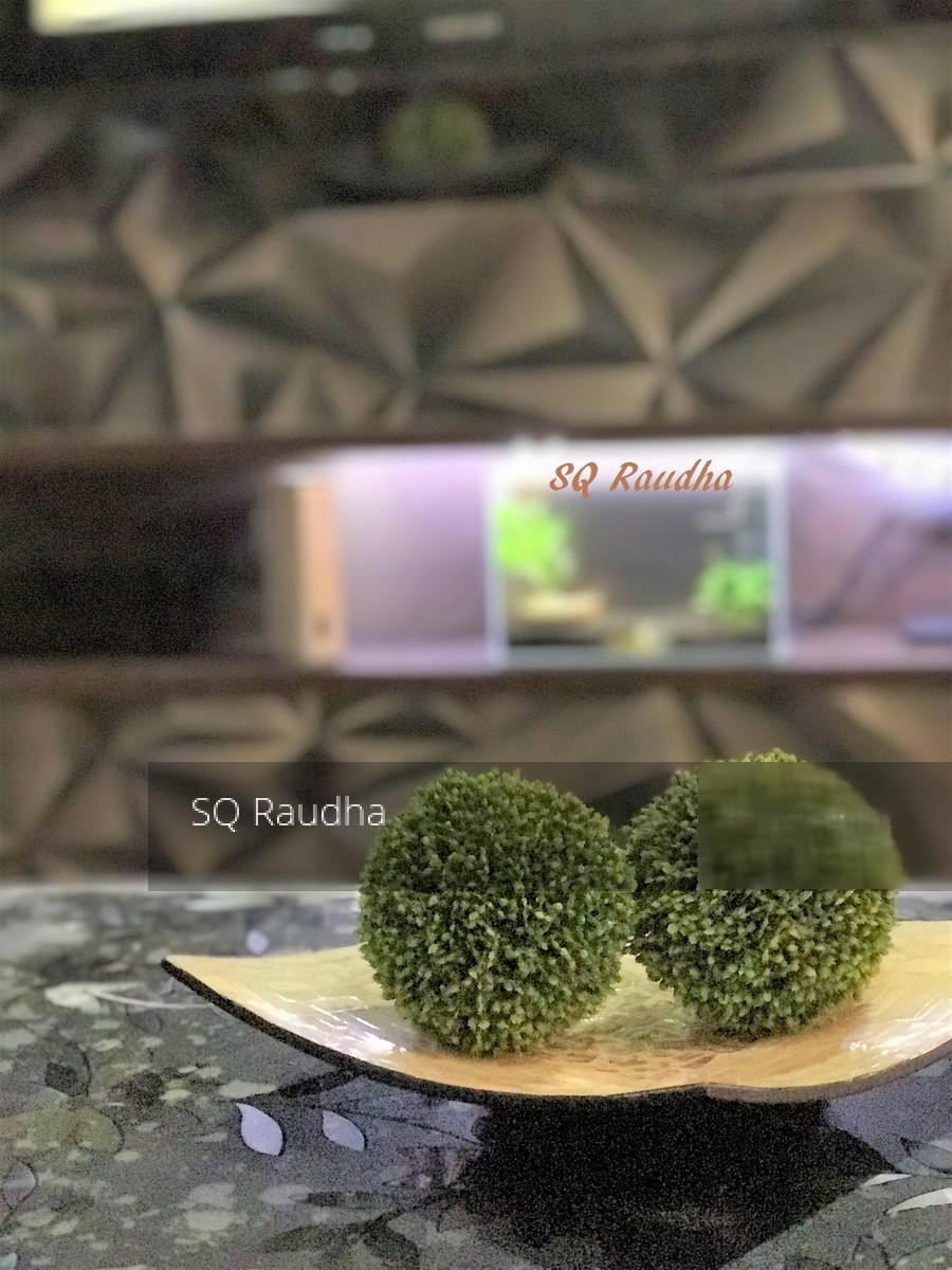 Blk 209A Compassvale Lane (Sengkang), HDB 4 Rooms #152249742